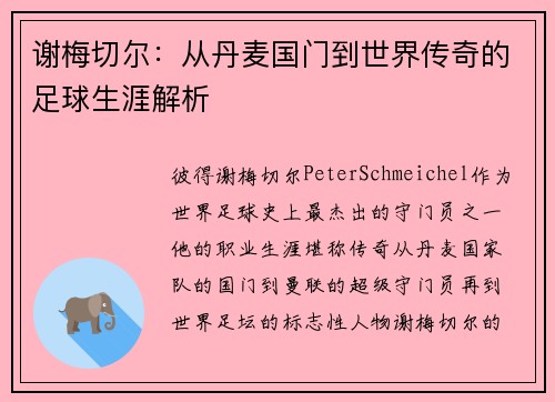 谢梅切尔：从丹麦国门到世界传奇的足球生涯解析